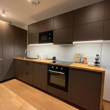 Brno City Center Apartment With Parking And A Big Terrace Exterior photo